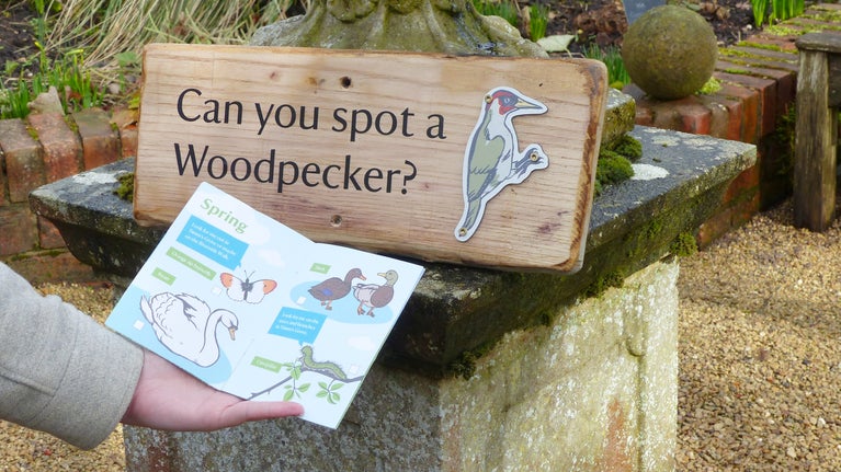 Creatures of Coughton Outdoors